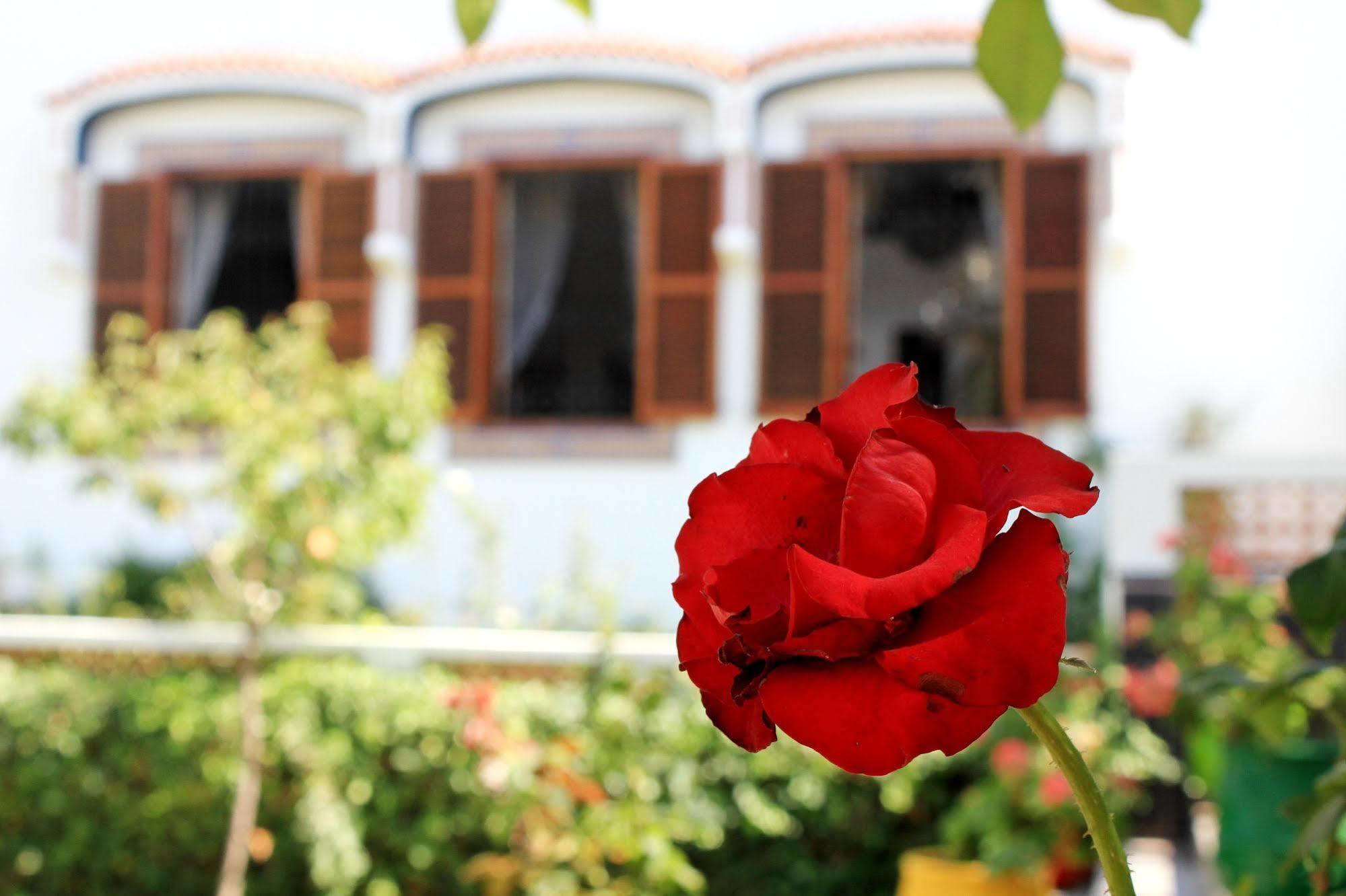 Riad Dar Achaach Tetouan Bagian luar foto