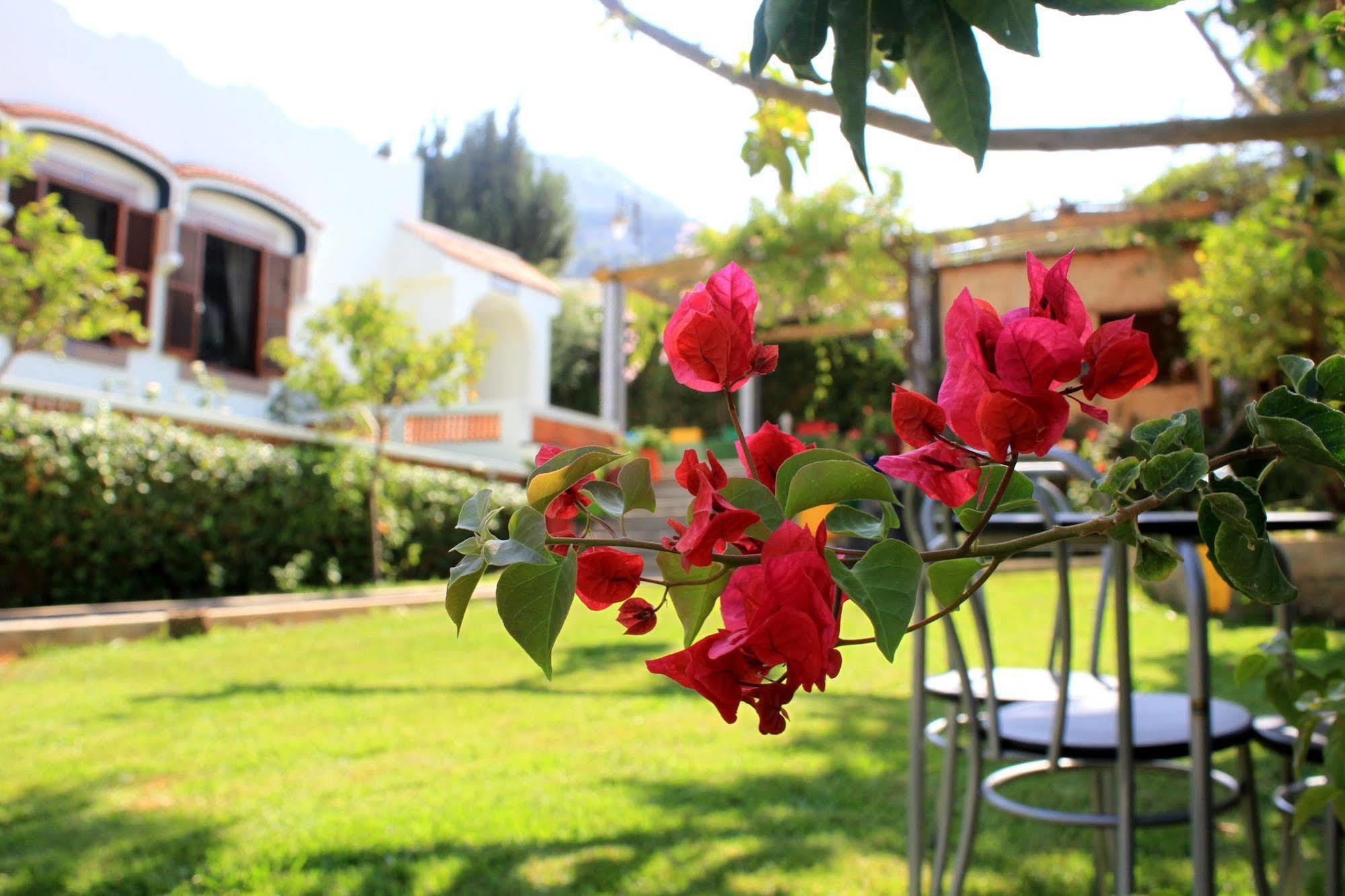 Riad Dar Achaach Tetouan Bagian luar foto